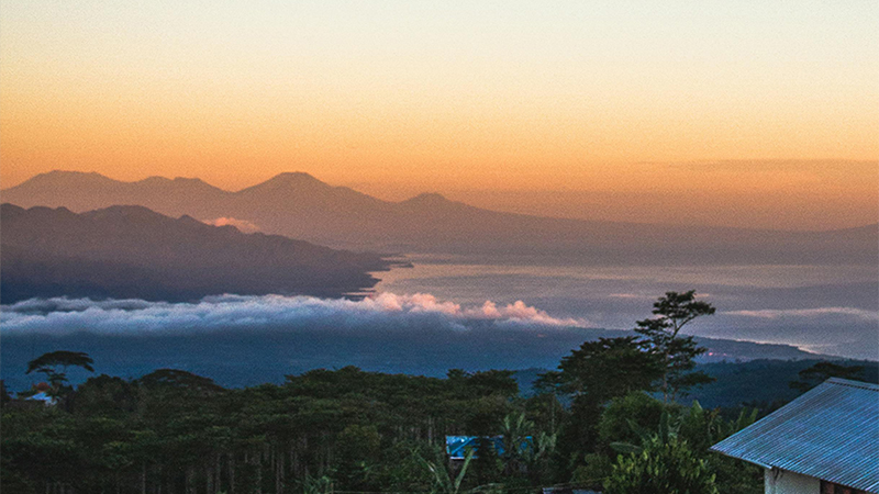 区领导莅临必发888制药工厂，亲临一线指导工作