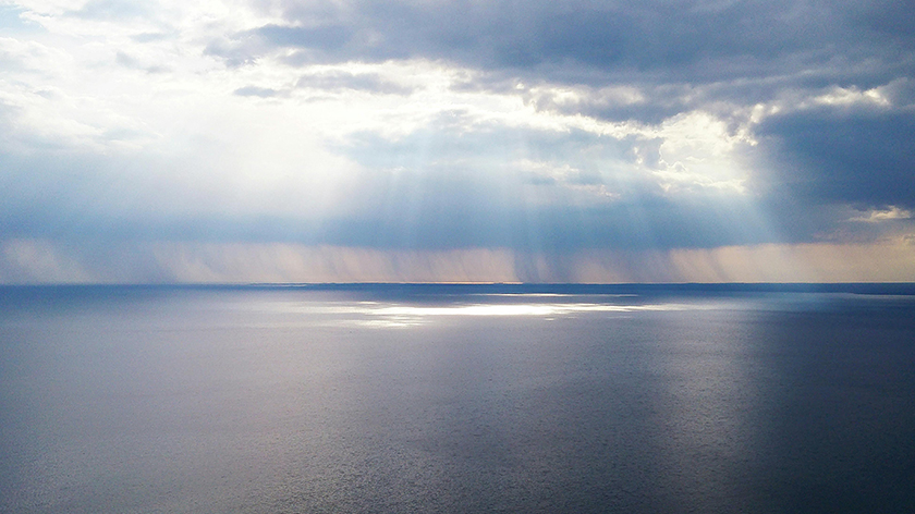 必发888制药2024西鼎会圆满收官